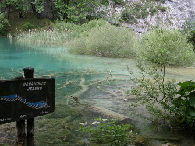 img0013.jpg