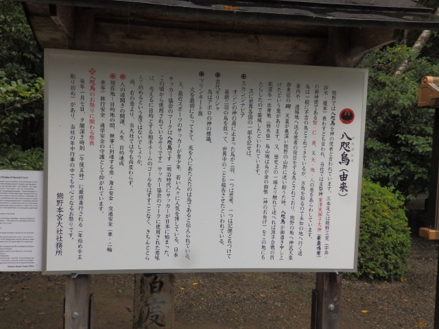 img0017.jpg